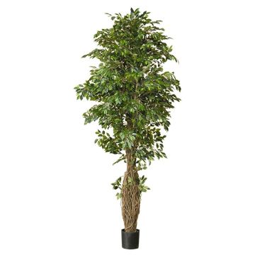 Plante artificielle Ficus Benjamina ALMINKO, tronc naturel, vert, 330cm
