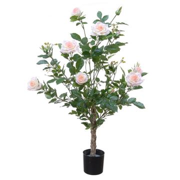 Rosier décoratif KANDJA avec fleurs, tronc artificiel, rose-crème, 100cm