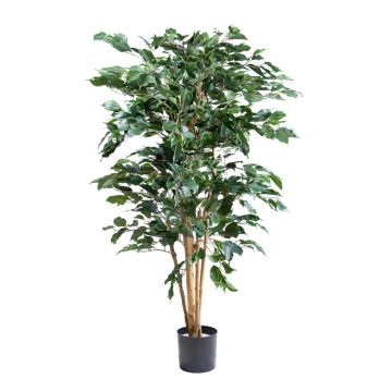 Plante artificielle Ficus benjamina AKAHI, tronc naturel, vert, 150cm