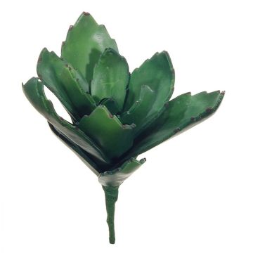 Succulente décorative Kalanchoe thyrsiflora MATTS, piquet, vert, 18cm