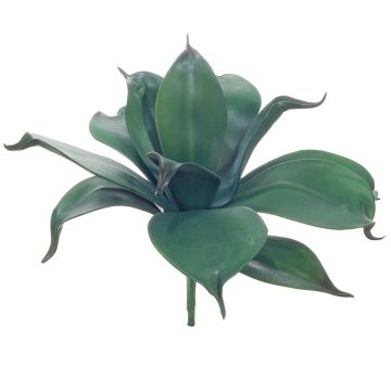 Plante succulente décorative Agave attenuata MEALLA, piquet, vert, 25cm