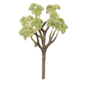 Sedum rubrotinctum décoratif MERINA, piquet, vert clair, 26cm