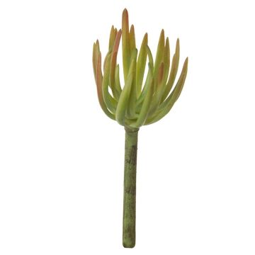 Sedum pachyphyllum artificiel KAIKALE, piquet, vert-rouge, 21cm, Ø7cm