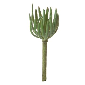 Sedum pachyphyllum artificiel KAIKALE, piquet, vert, 21cm, Ø7cm