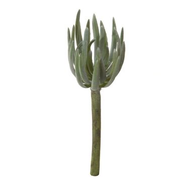 Sedum pachyphyllum artificiel KAIKALE, piquet, gris-vert, 21cm, Ø7cm