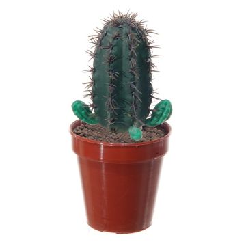 Cactus cierge du Pérou décoratif MAISHA, vert, 11cm