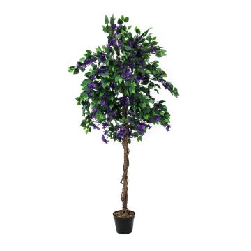 Fausse bougainvillée BANU, vrais troncs, fleurs violet, 150cm
