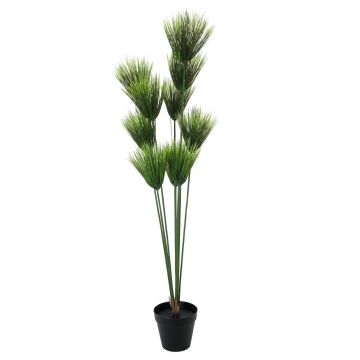 Cyperus papyrus en plastique BANOU, vert, 150cm