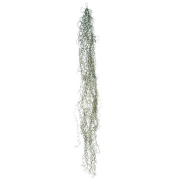 Succulente décorative Tillandsia Usneoides MIRIEL, vert, 130cm