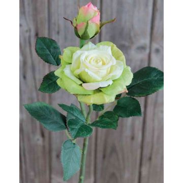 Rose artificielle SINJE, crème-vert, 35cm, Ø9cm