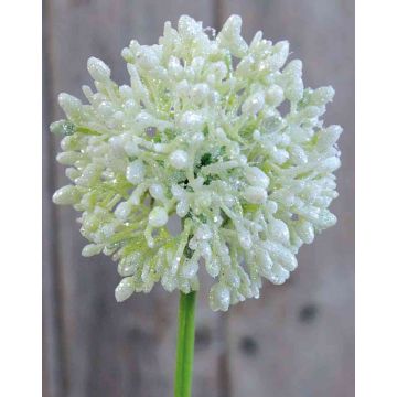 Allium artificiel HELLA, scintillant, crème-vert, 45cm