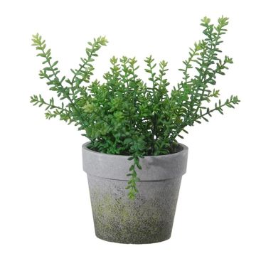Herbe artificielle Thym TIMPA, cache-pot, vert, 28cm