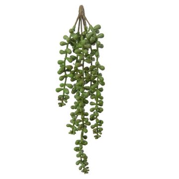 Plante succulente décorative Séneçon NANELA, piquet, vert, 35cm