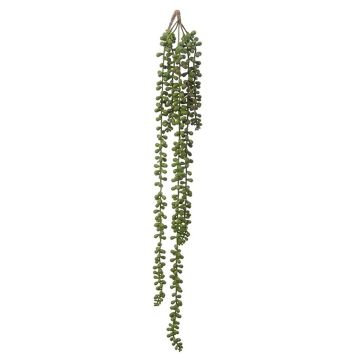 Plante succulente décorative Séneçon NANELA, piquet, vert, 70cm