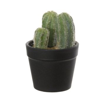 Cactus cierge du Pérou décoratif NIENA, cache-pot, vert, 10cm