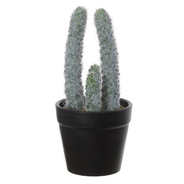 Cactus cierge du Pérou artificiel TIRRA, cache-pot, blanc-vert, 16cm