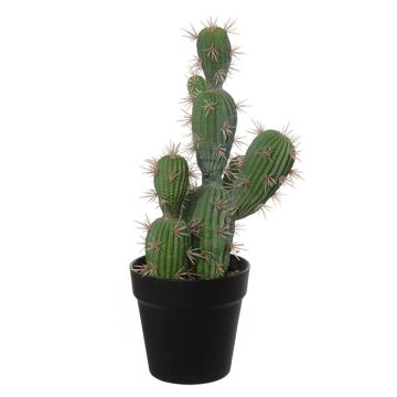 Cactus cierge du Pérou artificiel TORINU, cache-pot, vert, 40cm