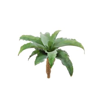 Plante succulente artificielle Agave attenuata MIKINI, piquet, vert, 30cm, Ø45cm