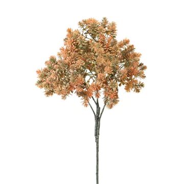 Sedum rubrotinctum décoratif NIRMALA, piquet, orange-vert, 40cm