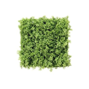 Haie de plantes artificielles / tapis de mousse d'Islande HAVAH, vert, 25x25cm