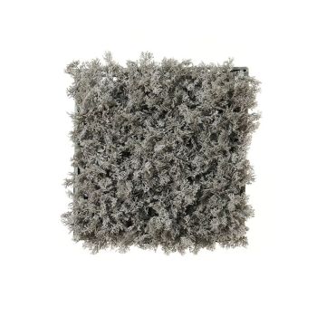 Haie de plantes artificielles / tapis de mousse islandaise HAVAH, gris, 25x25cm