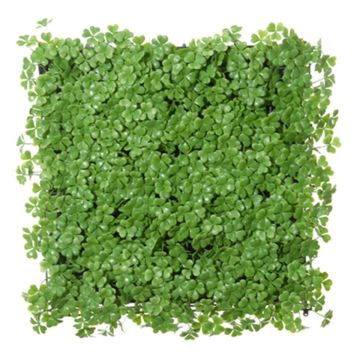 Haie en plastique / Tapis de trèfle à quatre feuilles FUKO, vert, 50x50cm