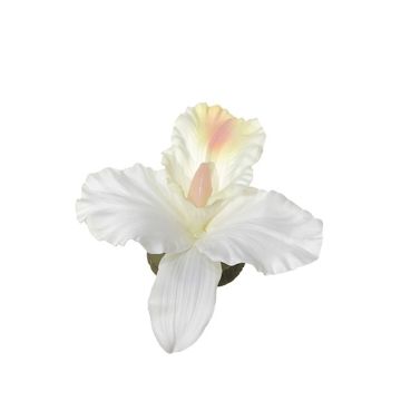 Fleur artificielle Orchidée Dendrobium Sonia CERIN, flottante, crème-blanc, Ø14cm