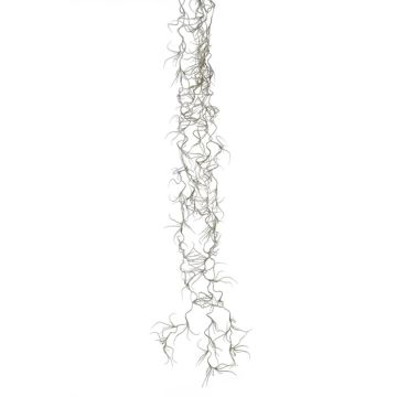 Plante succulente décorative Tillandsia Usneoides DAMASO, piquet, gris, 80cm