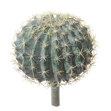 Cactus décoratif Coussin de belle-mère LIEU, piquet, vert, 25cm, Ø20cm