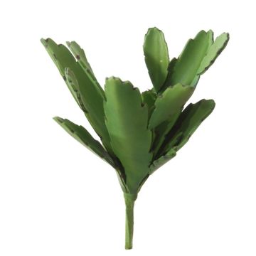 Cactus epiphyllum décoratif LUMIEL, piquet, vert, 20cm