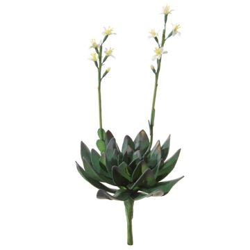 Plante succulente artificielle Aeonium LILKA, avec fleurs, piquet, vert-blanc, 35cm