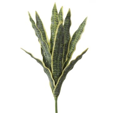 Plante décorative Sansevieria LIVIANA, piquet, vert-jaune, 50cm