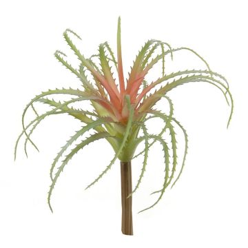 Succulente artificielle Tillandsia Stricta LUONG, piquet, vert-rouge, 22cm