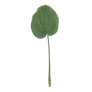 Feuille artificielle d'hosta ZENISA, vert, 40cm