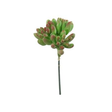 Sedum pachyphyllum artificiel ODANO, piquet, vert-rouge, 8cm