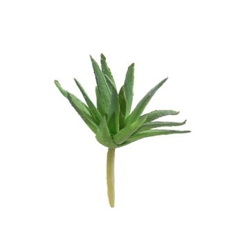 Agave decipiens artificiel KIANU, piquet, vert, 9cm