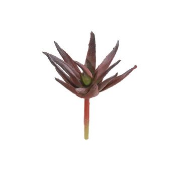 Agave decipiens artificiel KIANU, piquet, rouge bourgogne-vert, 9cm