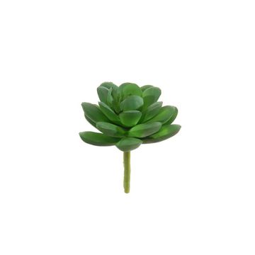 Sedum rubrotinctum artificiel OLWES, piquet, vert, 8cm, Ø6cm