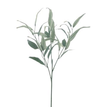 Branche d'eucalyptus décorative MALWINE, collection écologique, vert, 75cm
