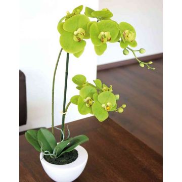 Orchidée Phalaenopsis artificielle AURELIA en pot en céramique, vert, 55cm