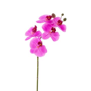 Tige d'orchidée phalaenopsis artificielle EMILIA, rose fuchsia, 60cm, Ø8cm