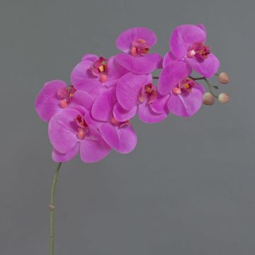 Tige d'orchidée en soie AURELIA, rose fuchsia, 95cm, Ø10cm
