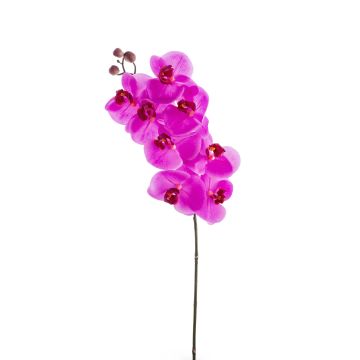 Tige d'orchidée en soie AURELIA, rose fuchsia, 95cm, Ø10cm