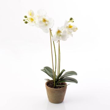 Orchidée en soie MINA, pot en terre cuite, blanc, 45cm, Ø6-8cm