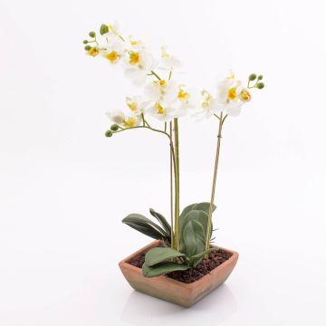 Orchidée en soie MINA, pot en terre cuite, blanc, 55cm, Ø6-8cm