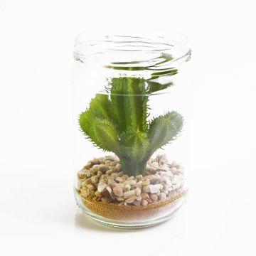 Cactus cierge du Pérou artificiel WESLEY, pot en verre, vert, 13cm, Ø8cm