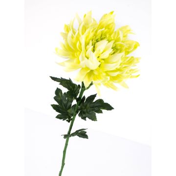 Chrysanthème en soie KESARA, crème-vert, 65cm, Ø16cm