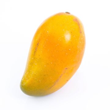 Mangue artificielle FLORISA, orange-jaune, 13cm, Ø8cm