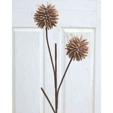 Allium artificiel CHIRARA, brun, 95cm, Ø10cm