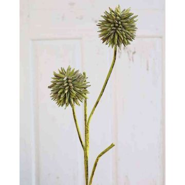 Allium artificiel CHIRARA, vert-brun, 95cm, Ø10cm